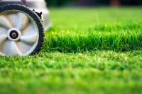 Bright Lawn Care And Tree Service Leeds LLC image 2